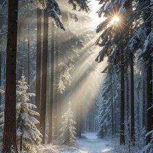 Cross stitch pattern: #2951698