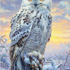 Cross stitch pattern: #2951932