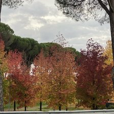 Cross stitch pattern: #2952064