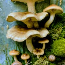 Cross stitch pattern: #2952065