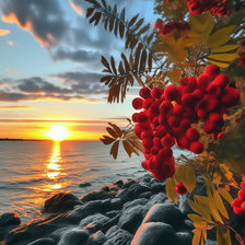 Cross stitch pattern: #2952131