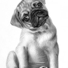 Cross stitch pattern: #2952241