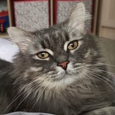 Cross stitch pattern: #2952386