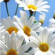 Cross stitch pattern: #2952407