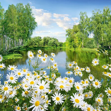 Cross stitch pattern: #2952581