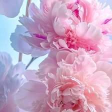 Cross stitch pattern: #2952714