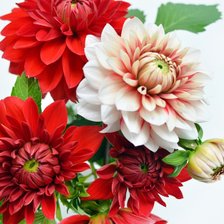 Cross stitch pattern: #2952944