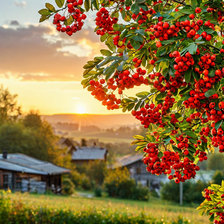 Cross stitch pattern: #2952983