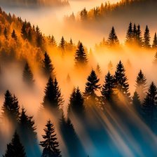 Cross stitch pattern: #2953612