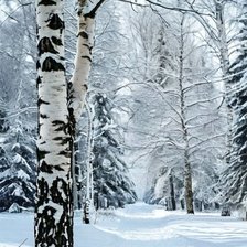 Cross stitch pattern: #2953875