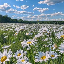 Cross stitch pattern: #2954165