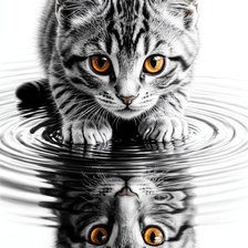 Cross stitch pattern: #2954274