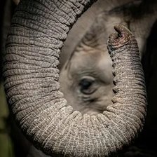 Cross stitch pattern: #2954568