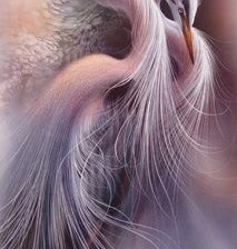 Cross stitch pattern: #2954630