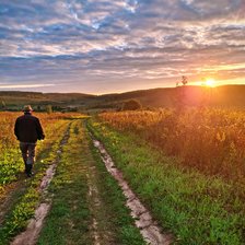 Cross stitch pattern: #2954737