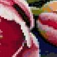Preview of cross stitch pattern: #2954779