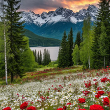 Cross stitch pattern: #2954833