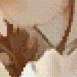 Preview of cross stitch pattern: #2954846