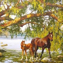 Cross stitch pattern: #2954950