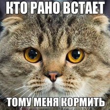 Cross stitch pattern: #2955032