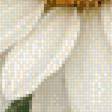 Preview of cross stitch pattern: #2955148