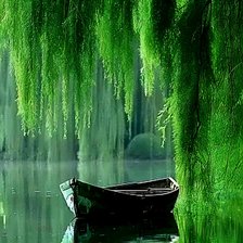 Cross stitch pattern: #2955172