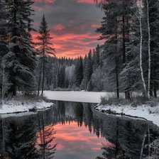 Cross stitch pattern: #2955173