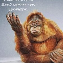 Cross stitch pattern: #2955237