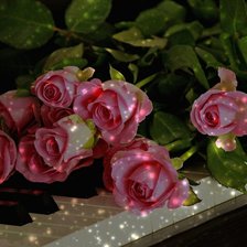 Cross stitch pattern: #2955510