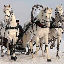 Cross stitch pattern: #2955678