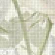 Preview of cross stitch pattern: #2955707