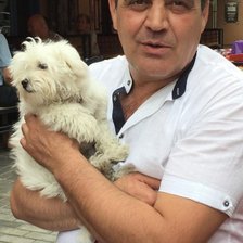 Cross stitch pattern: #2955825