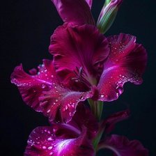 Cross stitch pattern: #2956022