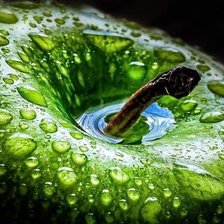 Cross stitch pattern: #2956194