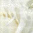 Preview of cross stitch pattern: #2956449