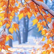 Cross stitch pattern: #2956852