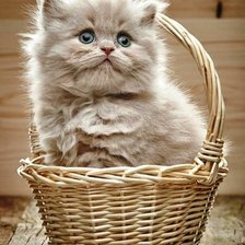 Cross stitch pattern: #2957134