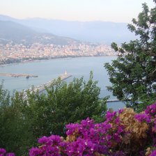 Cross stitch pattern: #2957486