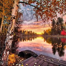 Cross stitch pattern: #2958336