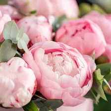 Cross stitch pattern: #2958352