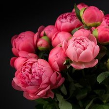 Cross stitch pattern: #2958353