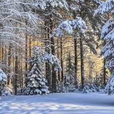 Cross stitch pattern: #2958569