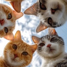 Cross stitch pattern: #2958618