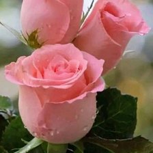 Cross stitch pattern: #2958637