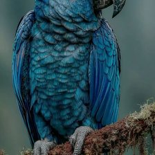 Cross stitch pattern: #2959015