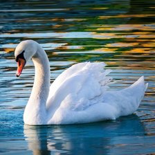 Cross stitch pattern: #2959403