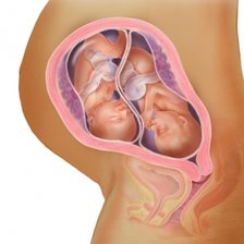 Cross stitch pattern: #2959566