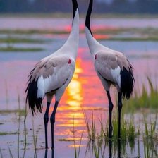 Cross stitch pattern: #2959900