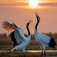 Cross stitch pattern: #2959998