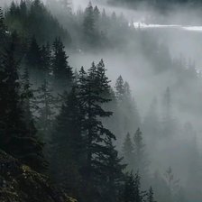 Cross stitch pattern: #2960467